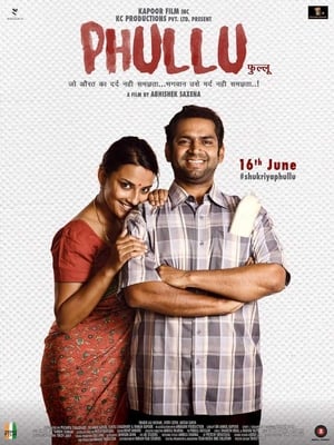 Phullu 2017 Full Movie DTHRip Download - 800MB