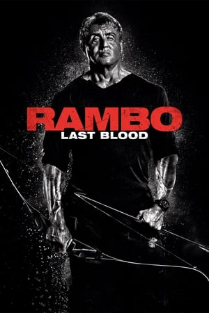 Rambo: Last Blood (2019) Hindi Dual Audio 480p BluRay 300MB