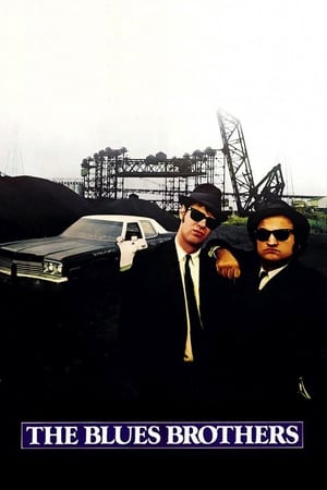 The Blues Brothers (1980) Hindi Dual Audio 480p BluRay 450MB ESubs